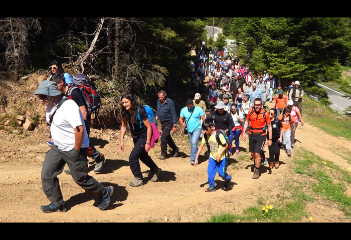 https://pezoporikos-karpenisiou.gr/wp-content/uploads/2017/05/Krikelo-Proti-Giorti-Manitariou-07.jpg
