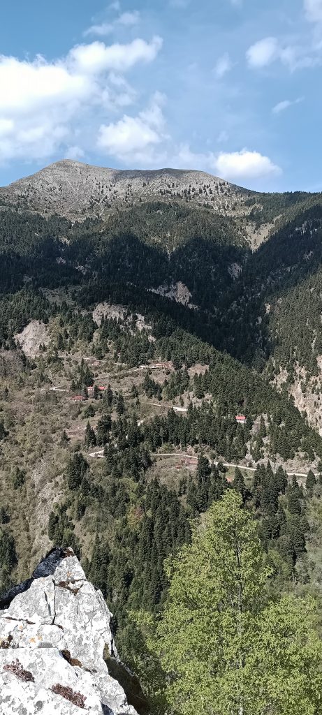 IMG_20250422_114203_639