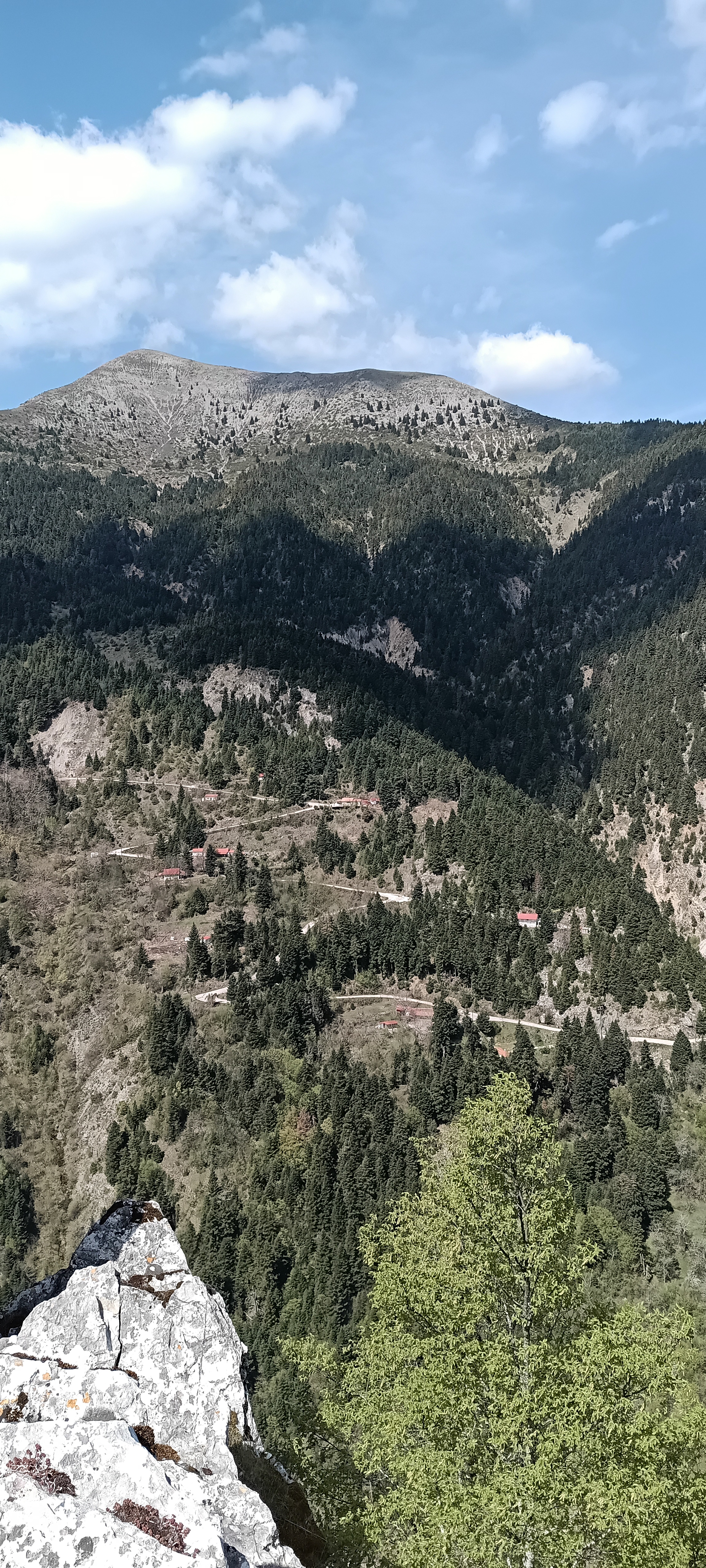 IMG_20250422_114203_639