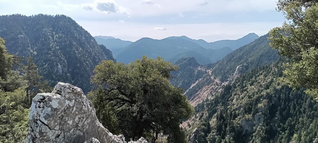 IMG_20250422_114229_074