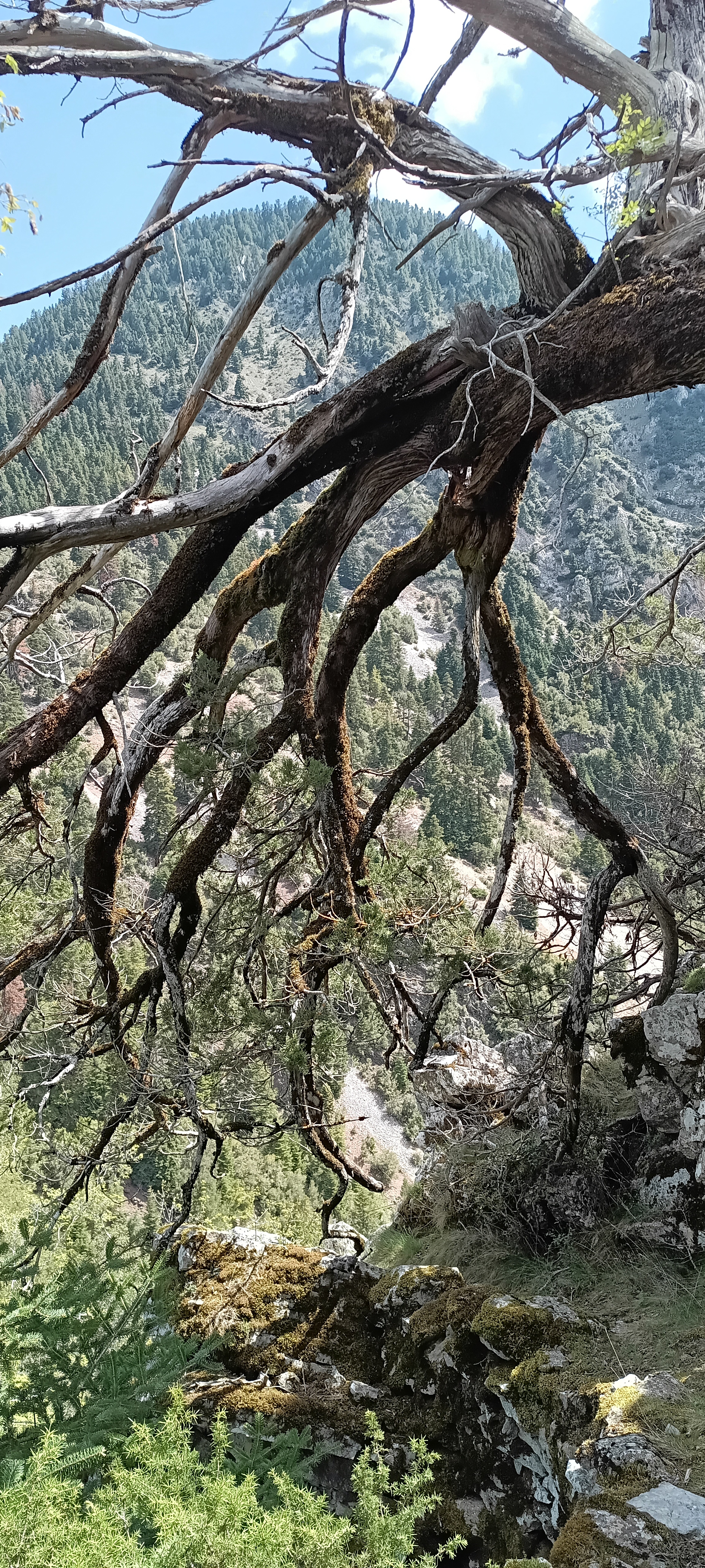 IMG_20250422_114333_754