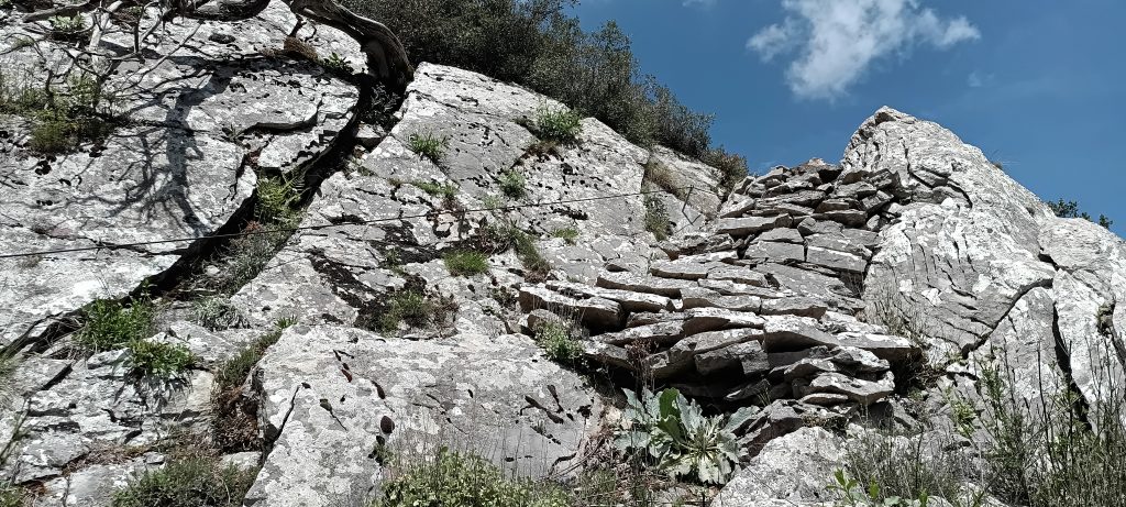 IMG_20250422_114509_326