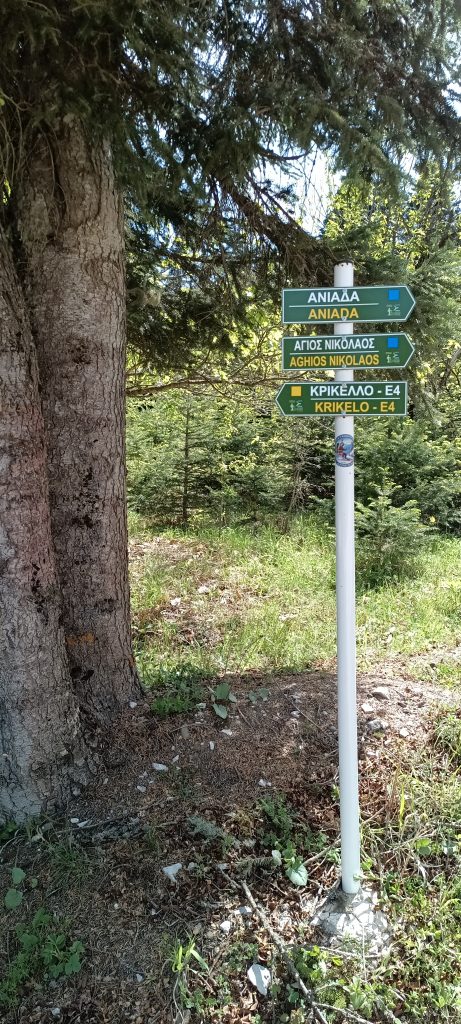 IMG_20250507_153116_639