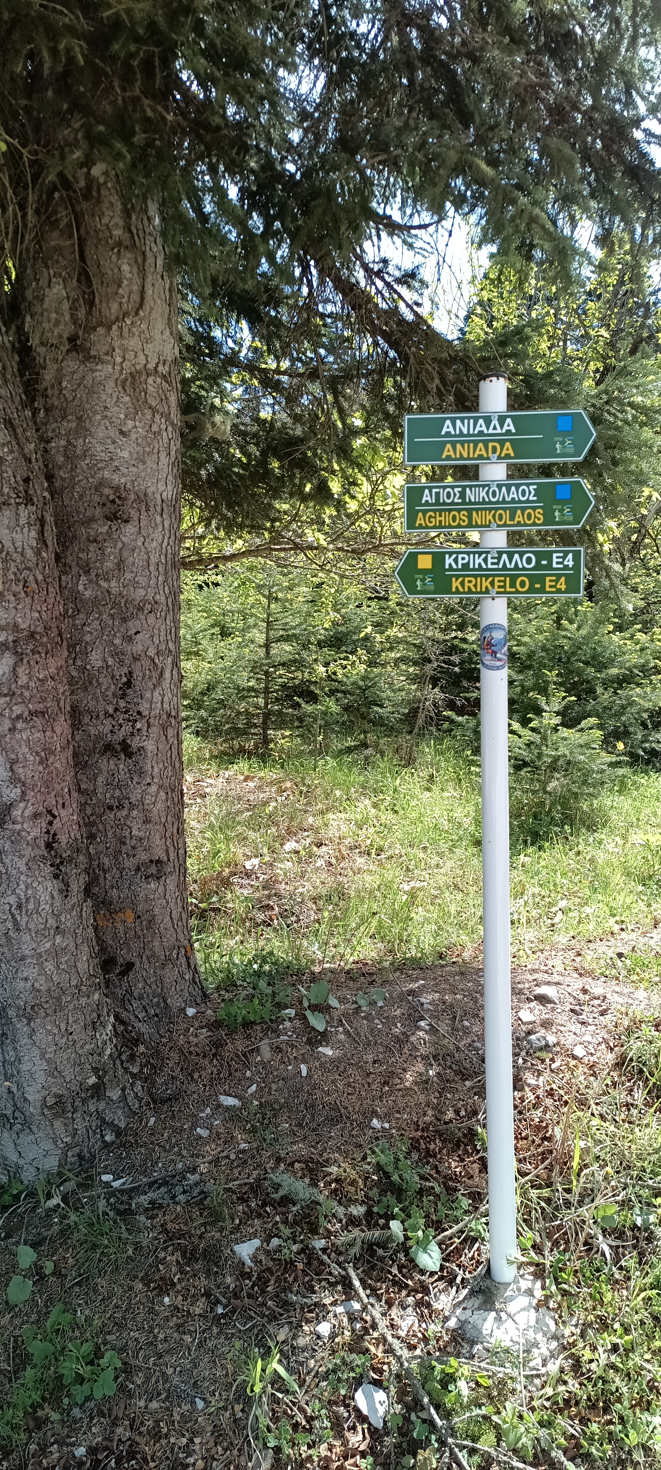 IMG_20250507_153116_639