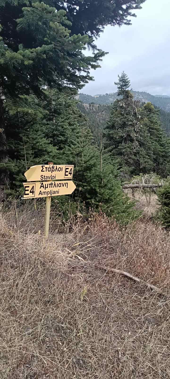 εικόνα_Viber_2025-10-13_00-17-26-317
