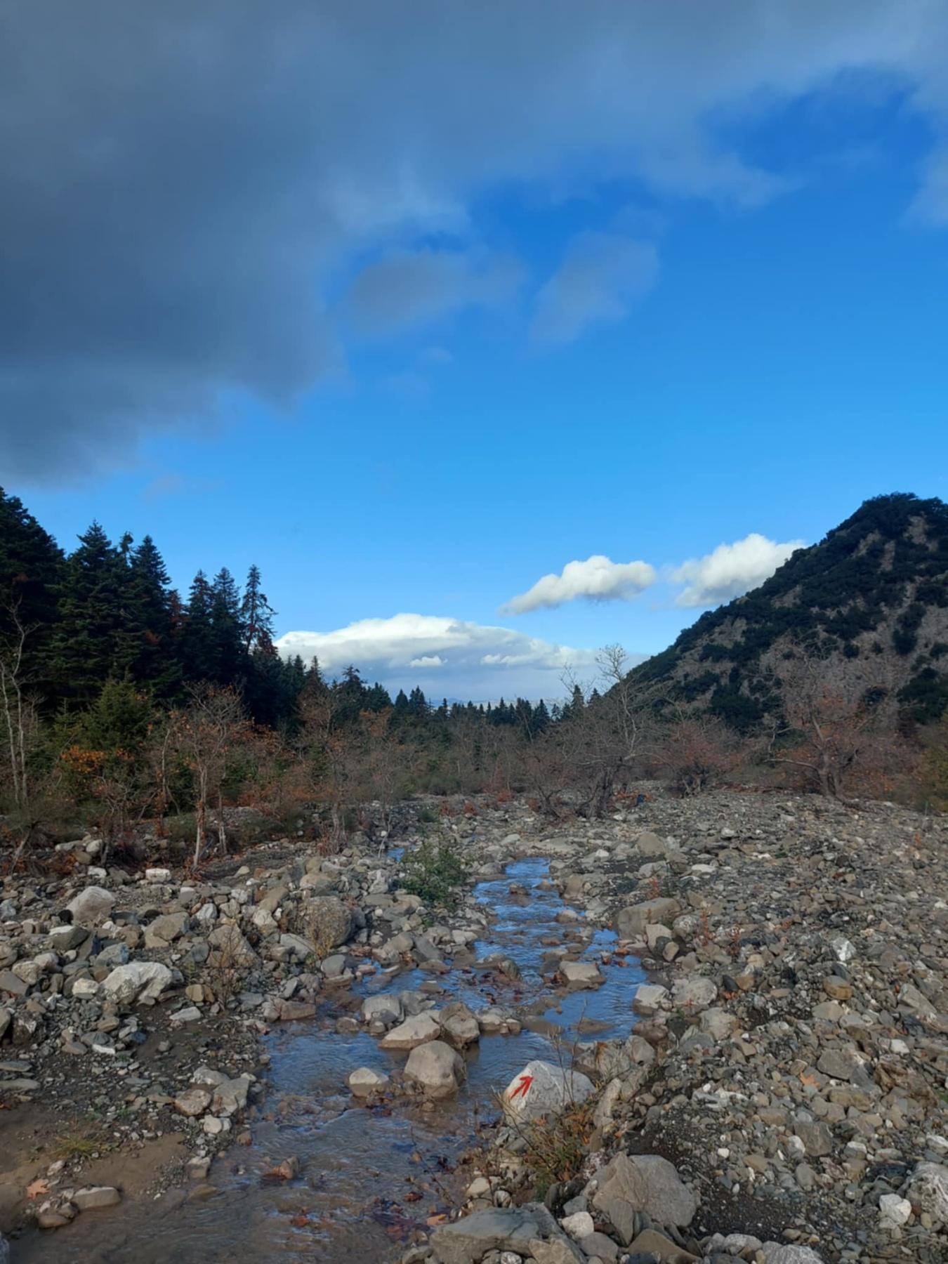 εικόνα_Viber_2025-11-23_17-32-33-119