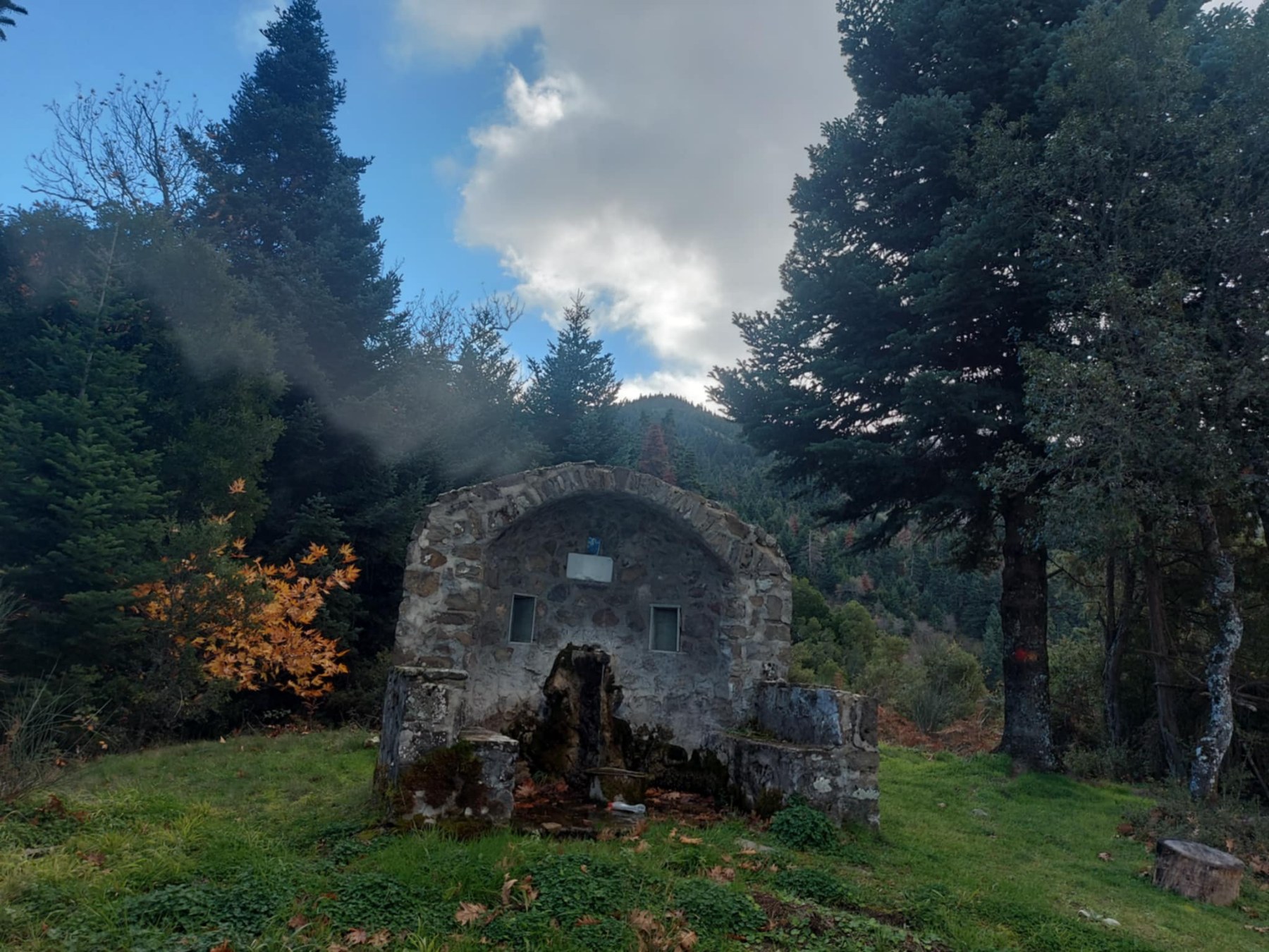 εικόνα_Viber_2025-11-23_17-32-33-226