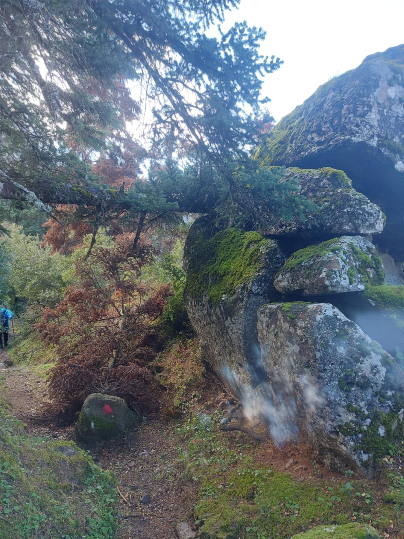 εικόνα_Viber_2025-11-23_17-32-55-623