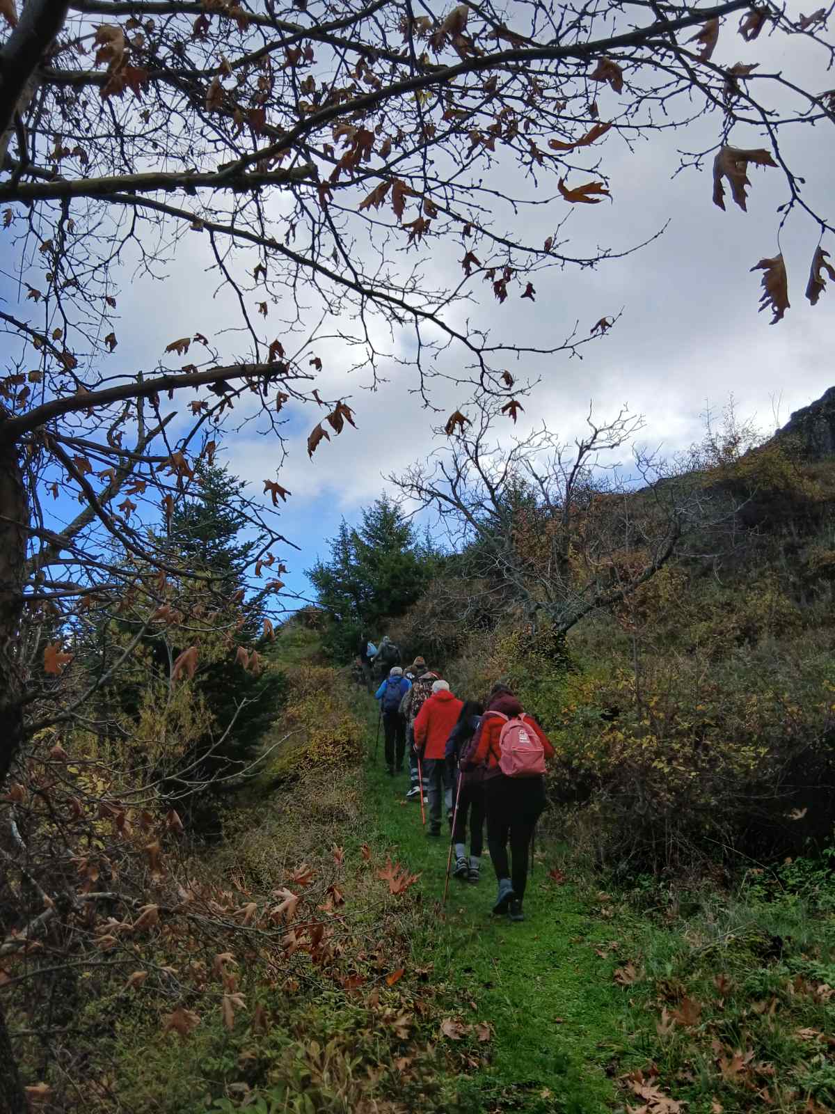 εικόνα_Viber_2025-11-23_17-42-35-938