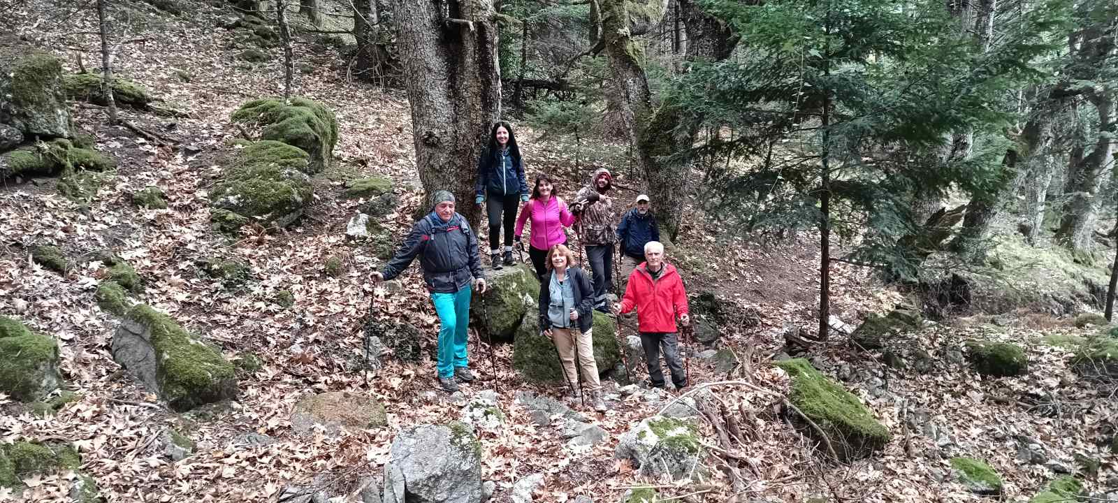 εικόνα_Viber_2025-11-24_21-35-33-777