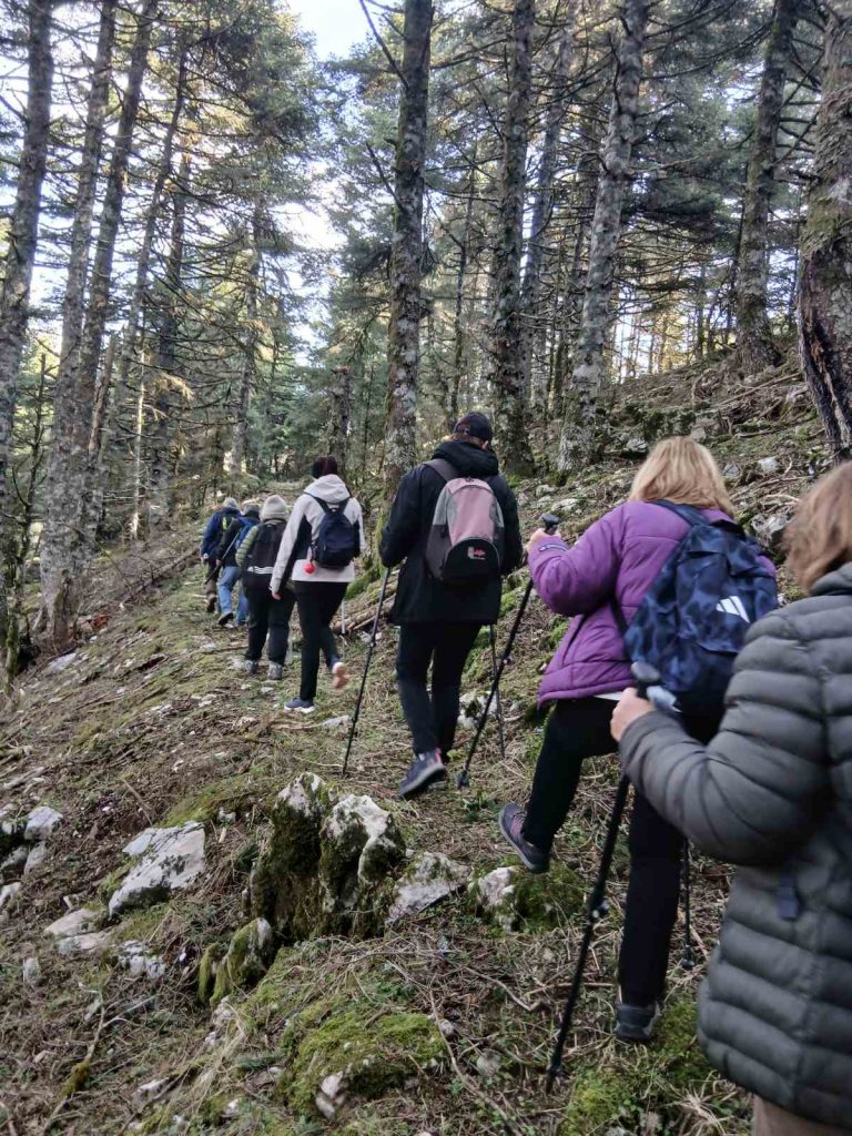 IMG-a3d4747d82aff002fdfcdd8e81037c9a-V