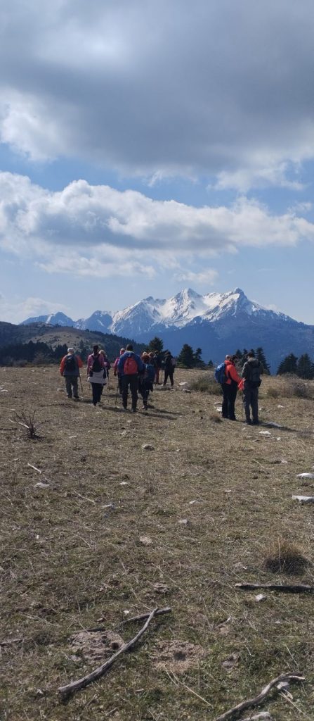 IMG-c39b9e4eb64528f596eedd432ec7ab9c-V