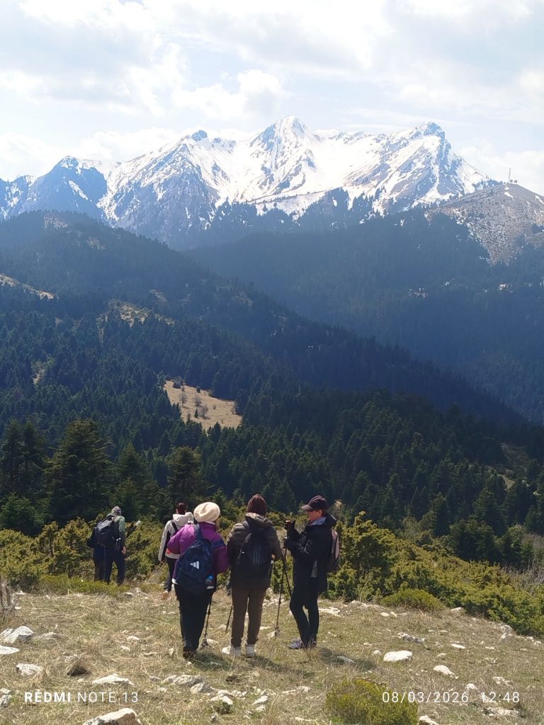 IMG-e51f2fffe9be2253b005ad1f4e15dcb1-V