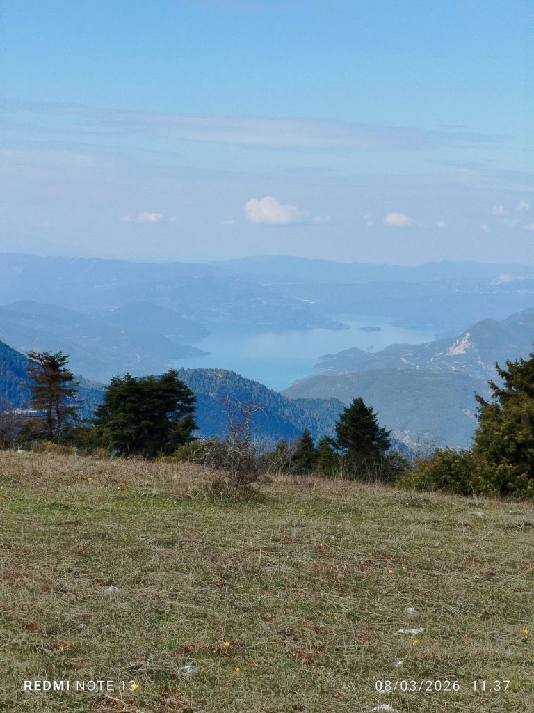 IMG-f933660ad64a2dd0fa8e8c744acd57c3-V