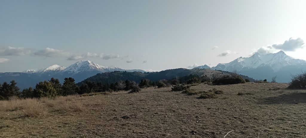 IMG_20260303_161948_859